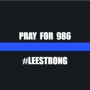 Meet your Posher, Dillon